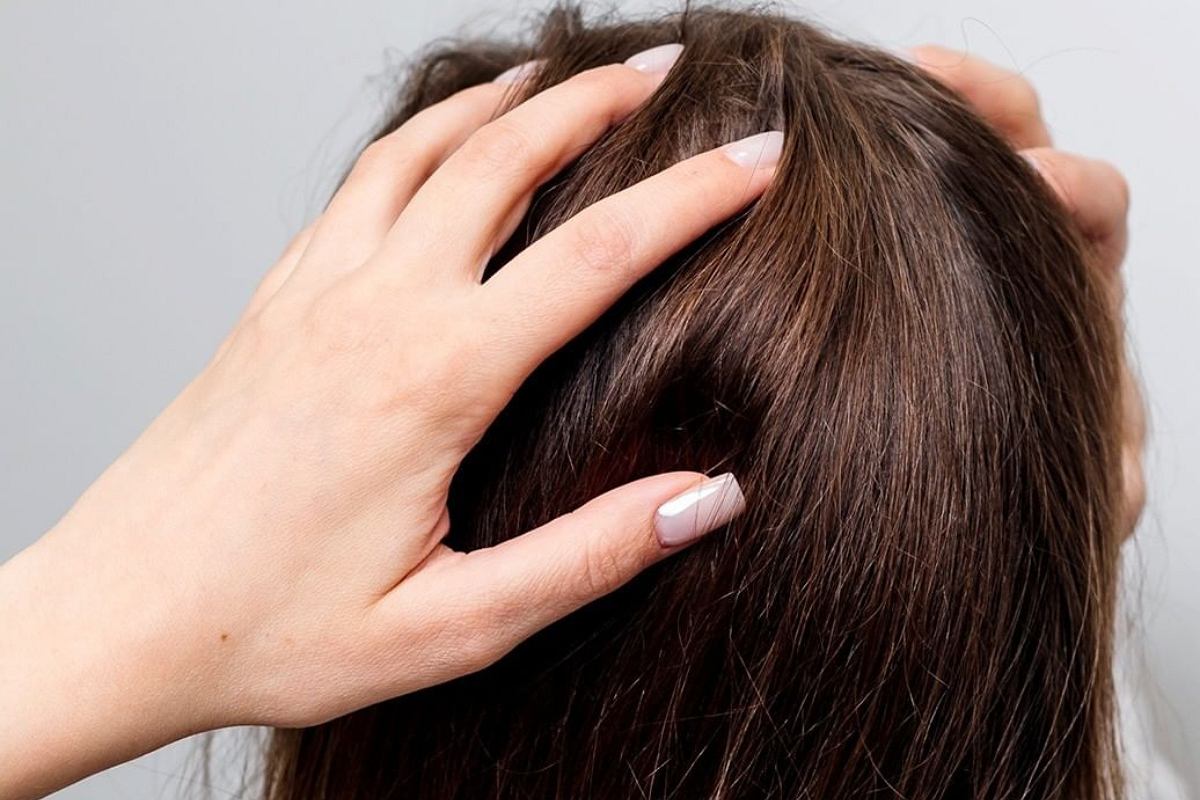 z29877279IER,Skora-glowy